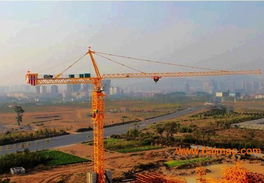 海山qtz40塔吊塔機(jī)塔式起重機(jī)供應(yīng)批發(fā),海山qtz40塔吊塔機(jī)塔式起重機(jī)供應(yīng)批發(fā)生產(chǎn)廠家,海山qtz40塔吊塔機(jī)塔式起重機(jī)供應(yīng)批發(fā)價格